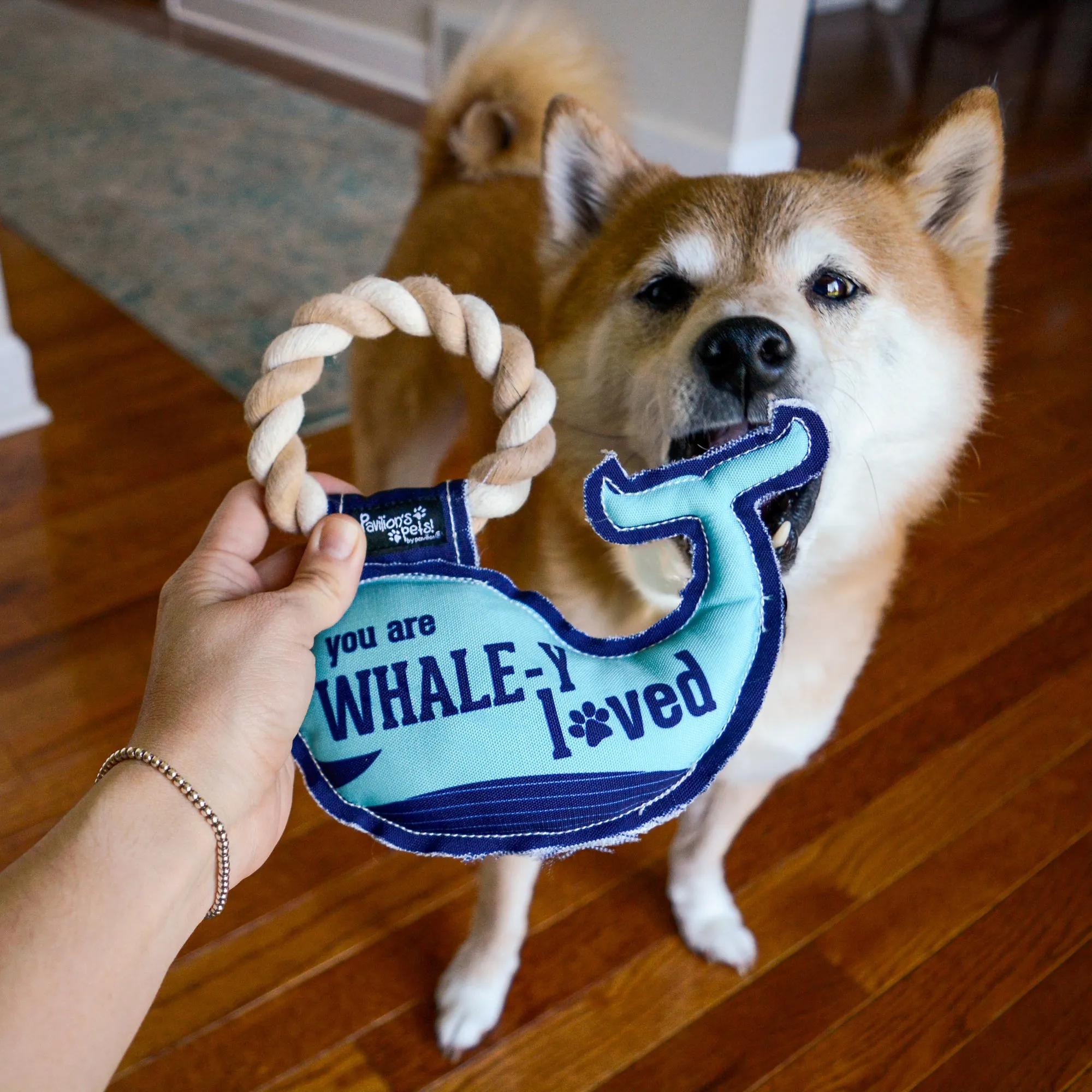 Whale-y Loved 8" Canvas Dog Toy on Rope
